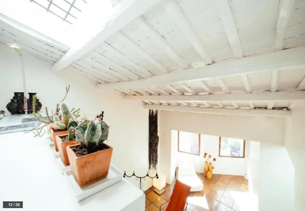 Luxury Art Apartment In Trastevere With Terrace Rome 0*,